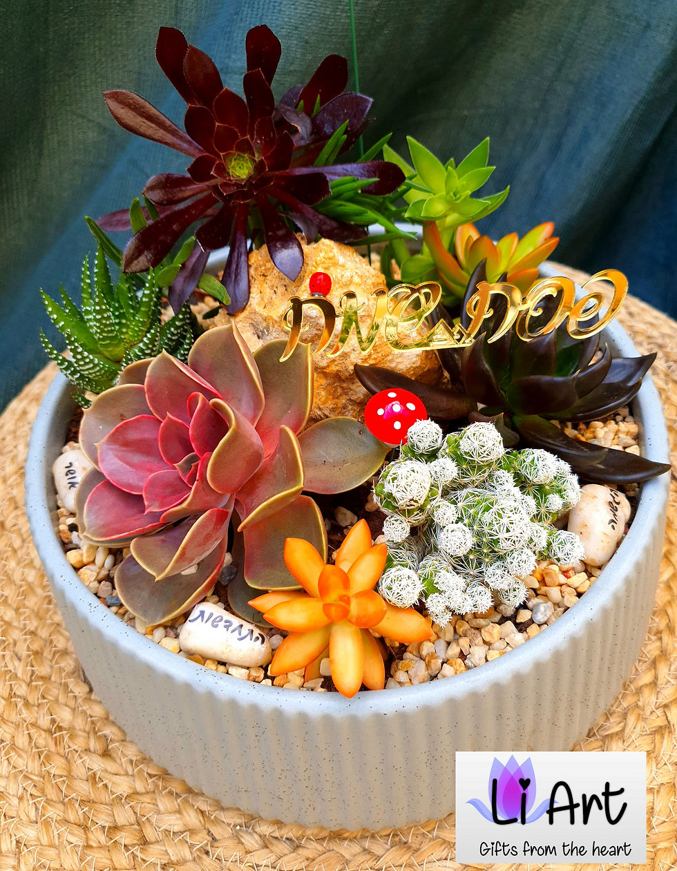 תמונה ממוזערת: סוקולנטים מעוצבים בכלי קרמיקה