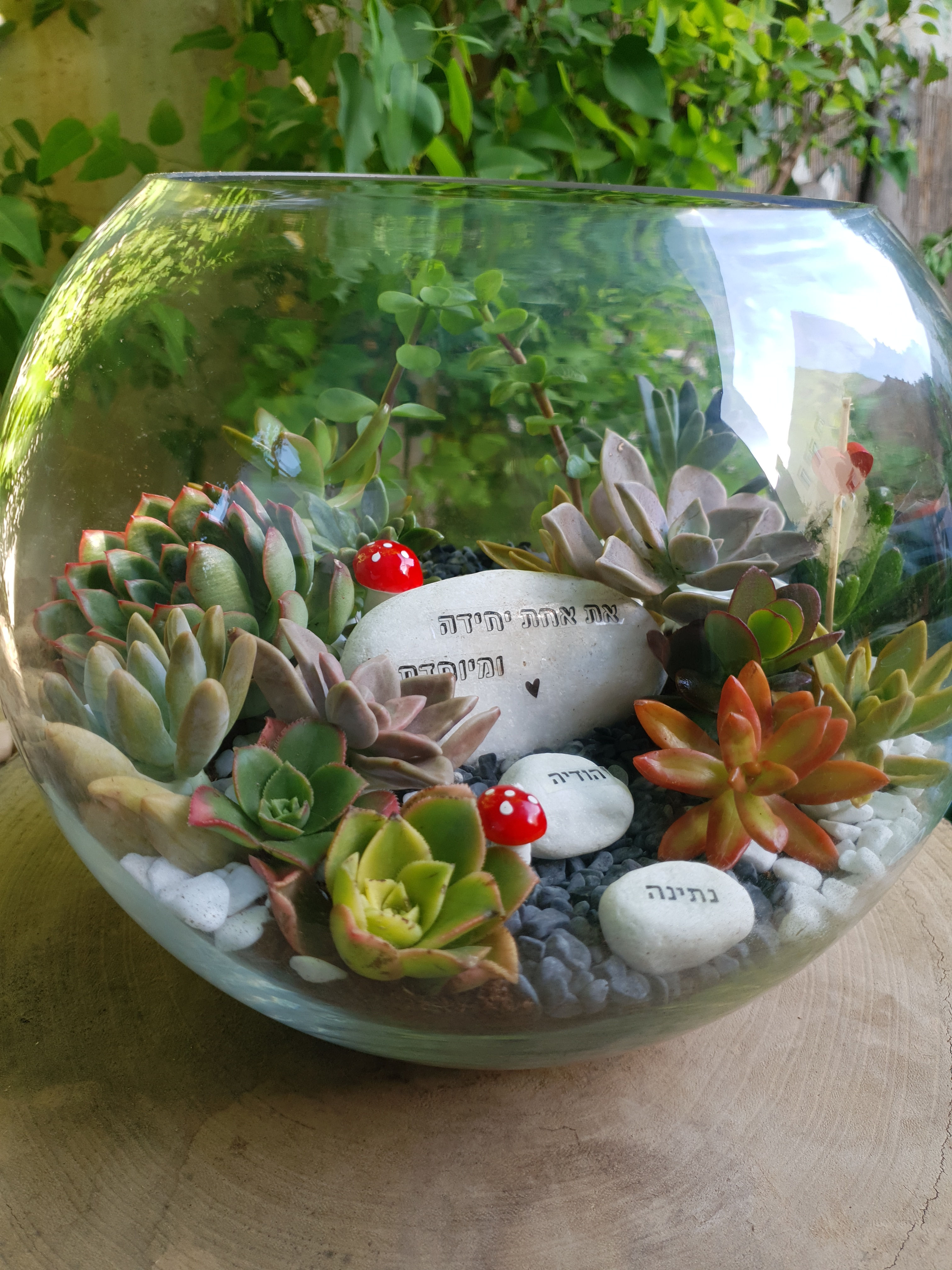 טרריומים מעוצבים