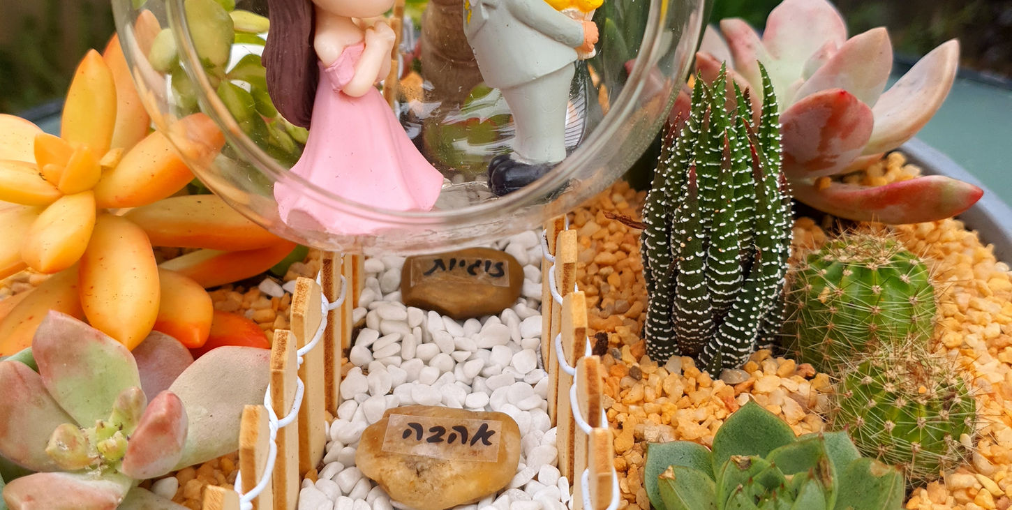 תמונה של עציץ סוקולנטים מעוצב