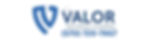 Valor Logo
