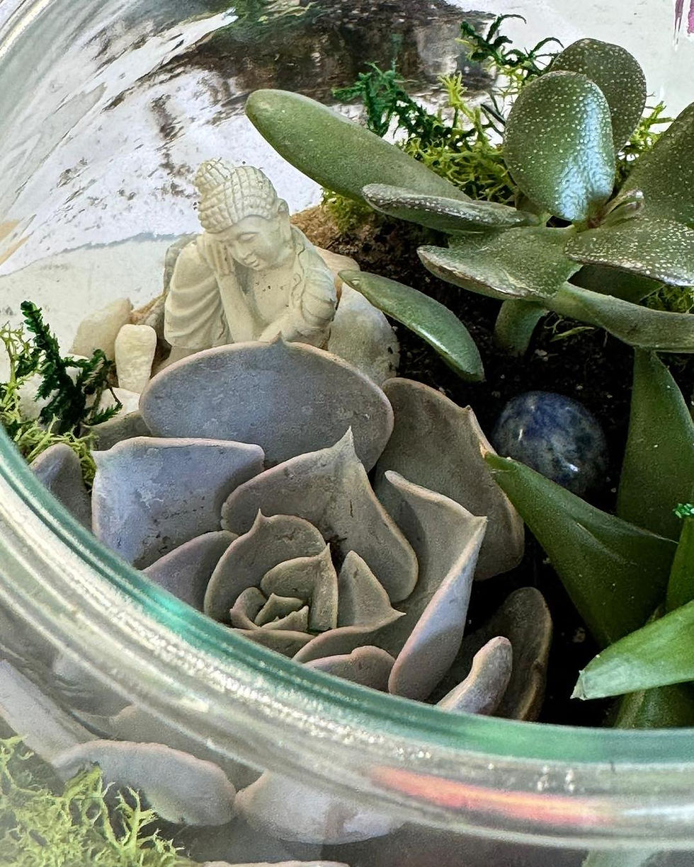 Terrarium Workshop, Sunday 20th October 2024, 4.00pm-5.30pm, £35pp
