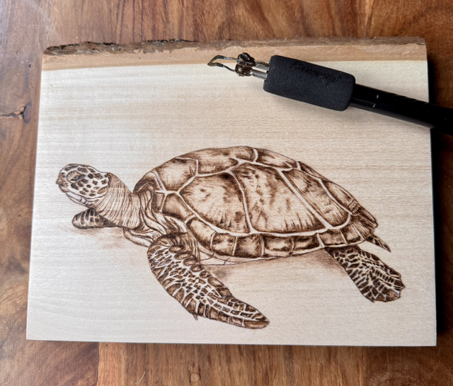 Pyrography full day workshop (turtle theme), Sunday 24th May 2026, 10.30am-4pm, £75