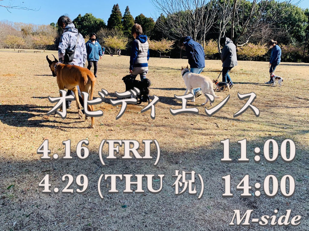 吠える 噛む 引っ張る どんな犬でもおまかせください