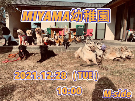 12/28 MIYAMA幼稚園!