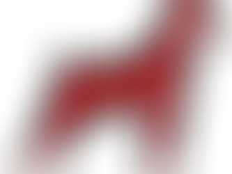 【柴犬】散歩問題・興奮・噛みつき・唸り・嫌なことをされると本気噛み所有・食べ物での攻撃・ひとへの挑戦 