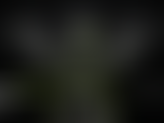 A pure-black 16:9 poster with three triangular wedge panels labeled “Search Visibility,” “Trust and Proof,” and “Conversion and Follow-up” converging into a camera lens held by two hands, with the title “Online Growth System” and a short explanatory text block.