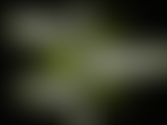 Dark, premium hero image with a central metallic signpost holding three arrow signs labeled “LOCAL SEARCH,” “CLEAR POSITIONING,” and “TRUST SIGNALS,” styled in charcoal with subtle lime accents on a black textured background.