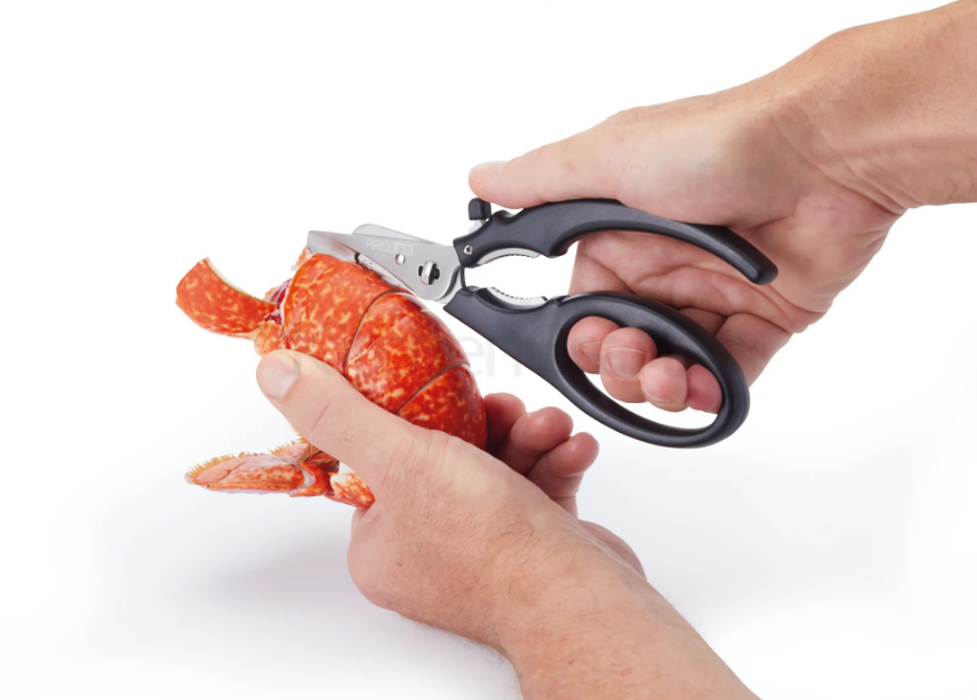 Μικρογραφία: MasterClass Seafood Shears