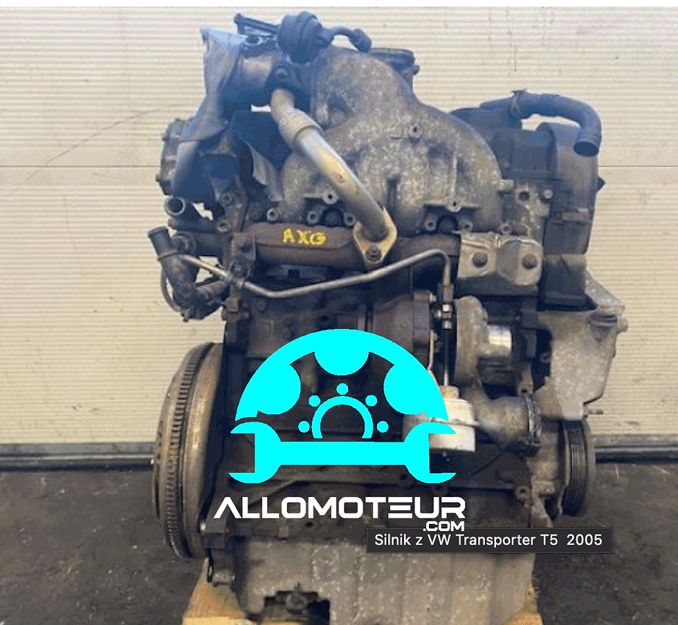 Moteur complet VOLKSWAGEN 2.5 T4 T5 TDI AXG