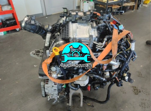 T6 204 Ps Motor Haltbarkeit