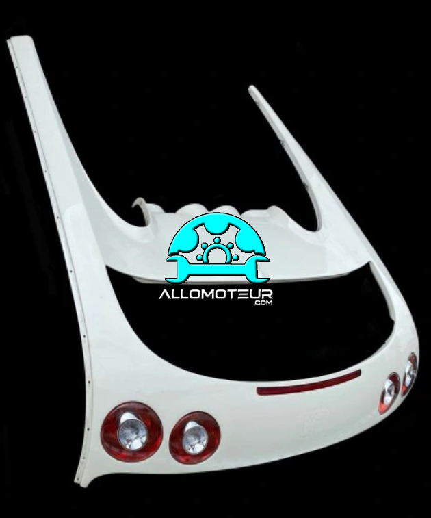 Miniaturbild: Hayon Carbone Bugatti Veyron