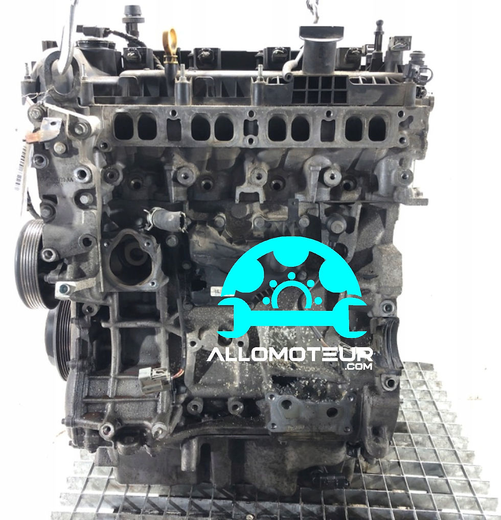 Bloc moteur nu culasse FORD GALAXY II 2.0 EcoBoost 203cv TNWA