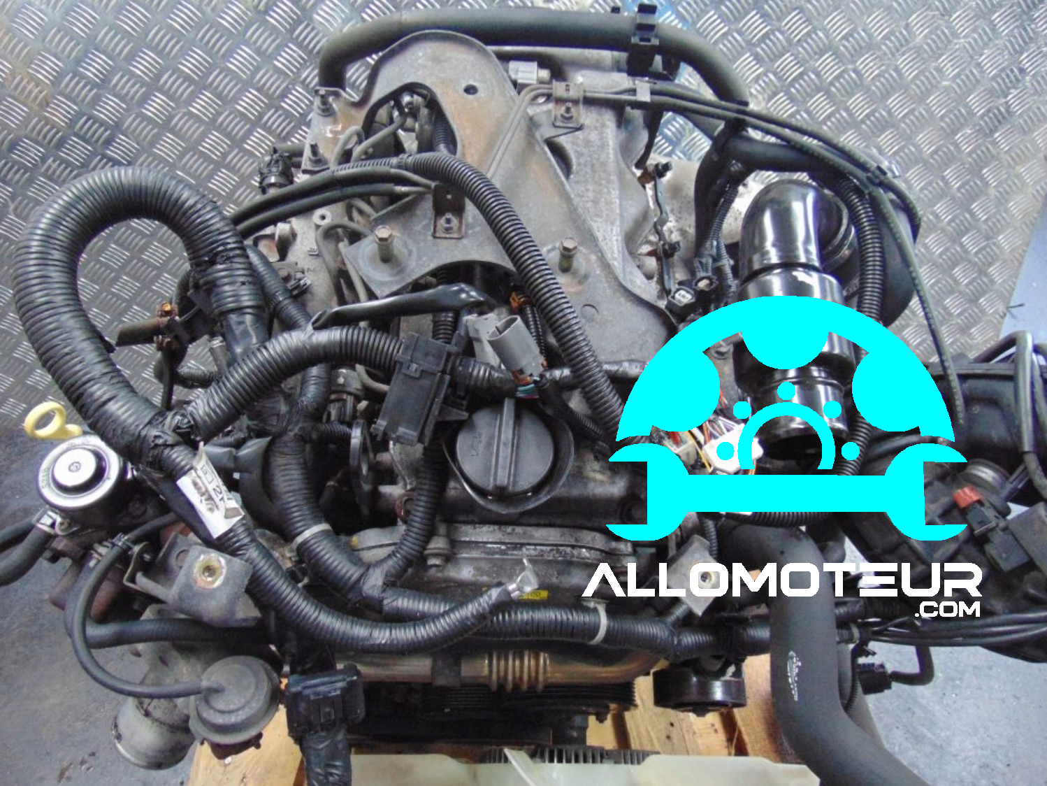 Moteur complet NISSAN PATHFINDER III R51 2.5 DCI 174CV YD25DDTI