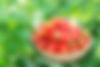 DSC_1593_resize.jpg