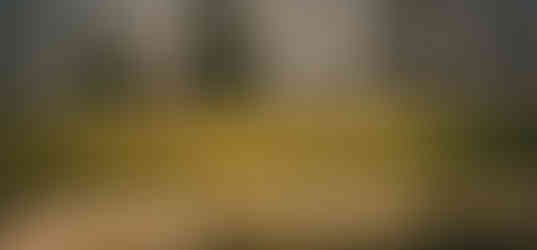 Golf James River Country Club