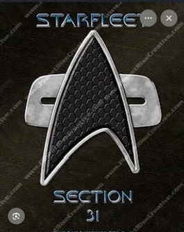 section 31 7.jpg