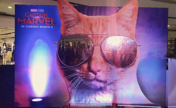 Capitã Marvel | Novo poster traz gato Goose como destaque. Confira!