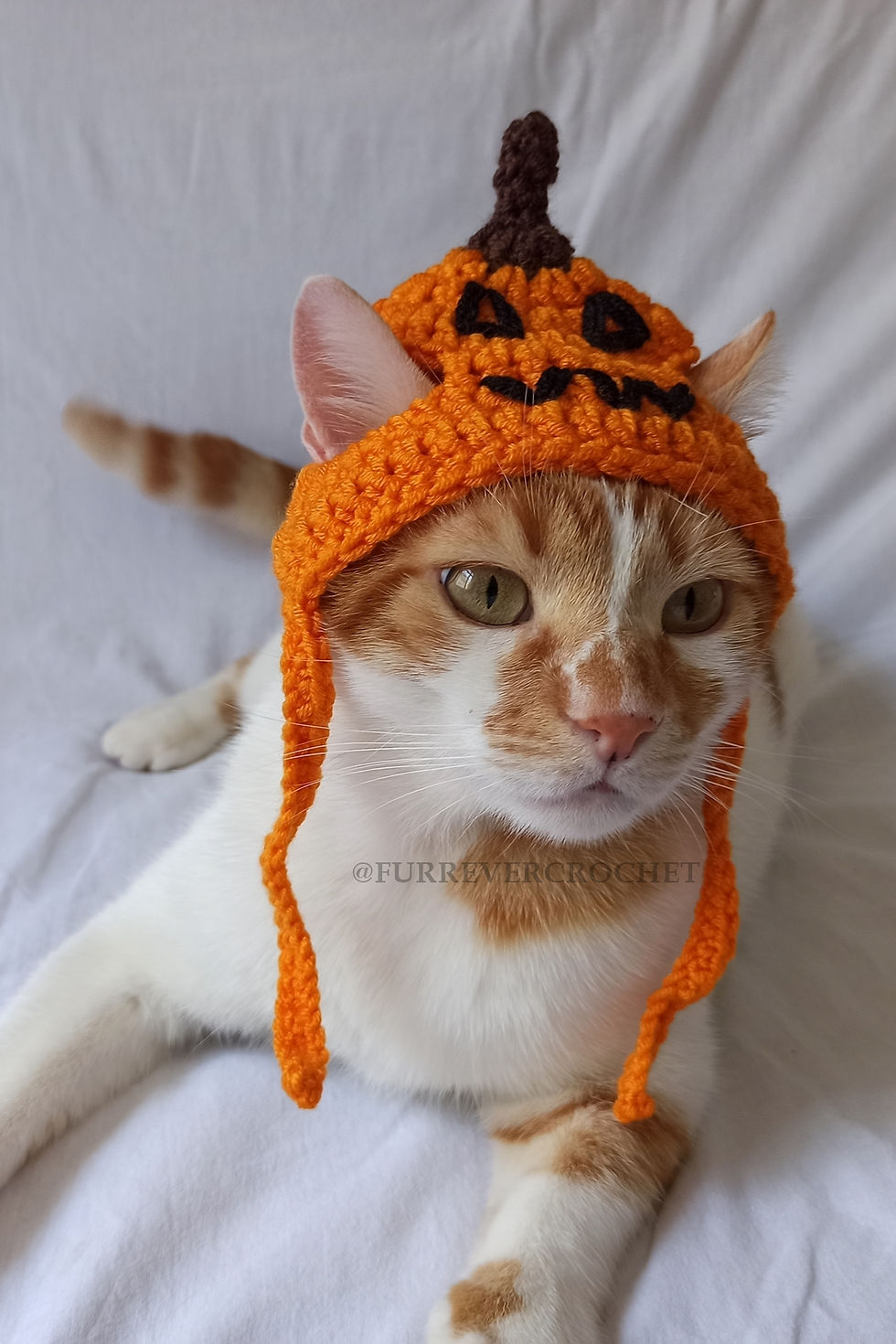 Küçük resim: Jack-O-Lantern Balkabağı Bere Örgü Kedi Köpek Şapkası