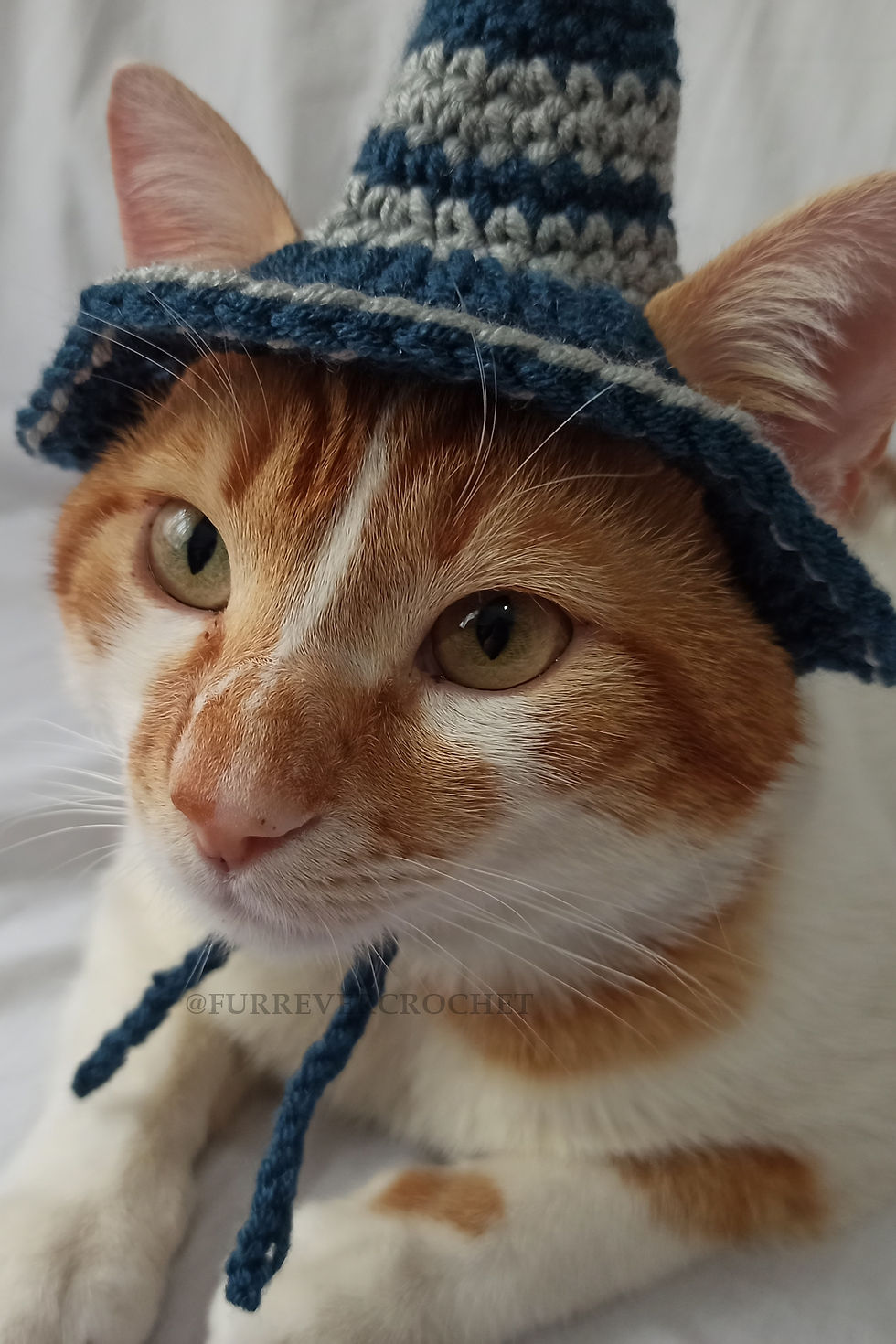 Küçük resim: Ravenclaw Harry Potter Hogwarts Cadı Şapka Örgü Kedi Köpek Şapkası
