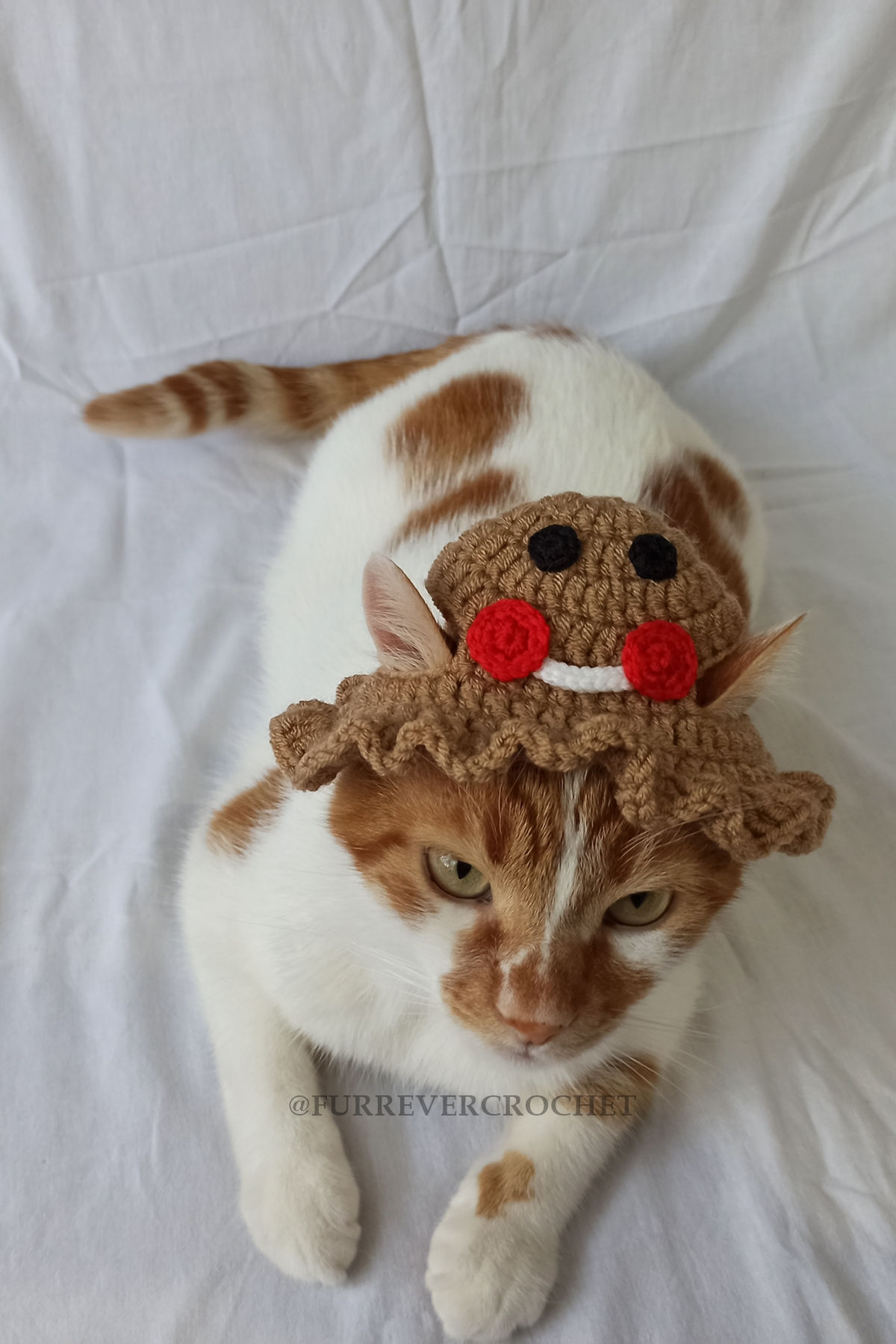 Kurabiye Adam Gingerbread Man Bucket Şapka Yeni Yıl Yılbaşı Örgü Kedi Köpek Şapk