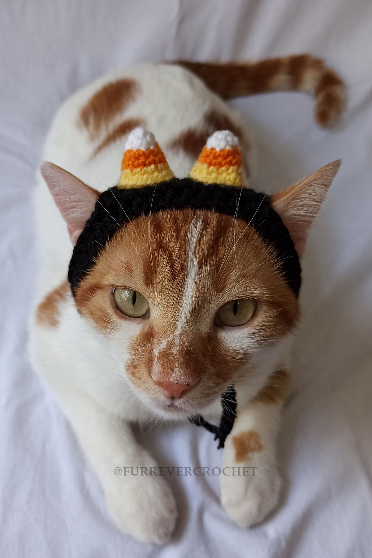 Candy Corn Bandana Örgü Kedi Köpek Şapkası