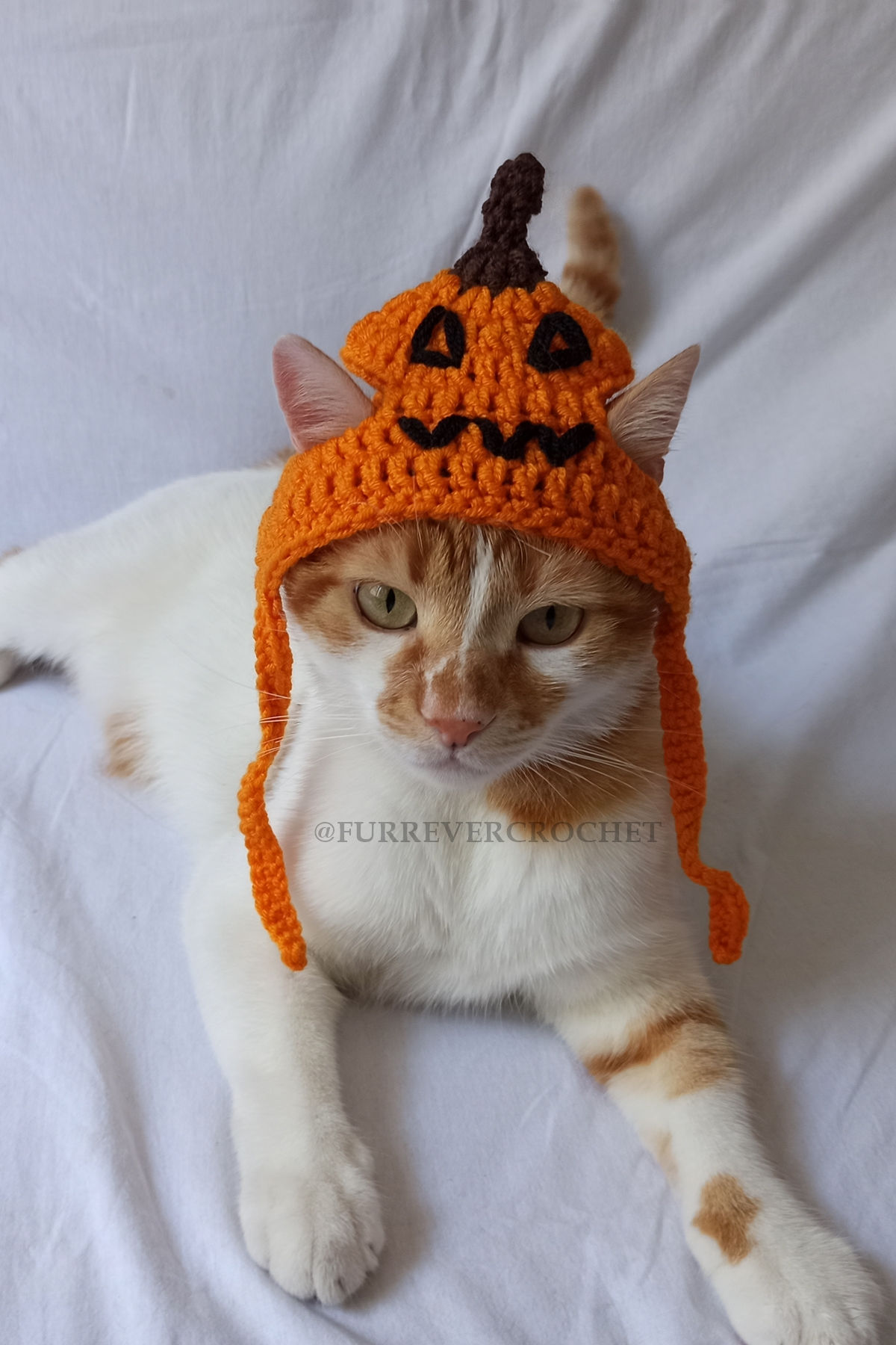 Jack-O-Lantern Balkabağı Bere Örgü Kedi Köpek Şapkası