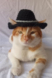 Siyah Kovboy Örgü Kedi Köpek Şapkası
