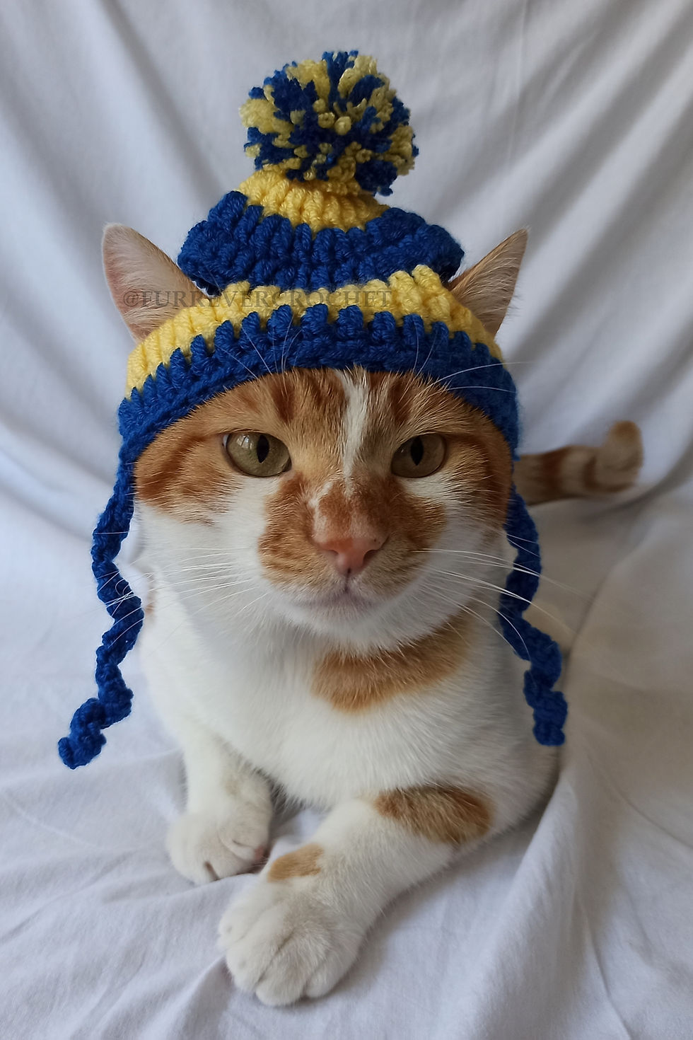 Küçük resim: Fenerbahçe Sarı Lacivert Taraftar Bere Örgü Kedi Köpek Şapkası