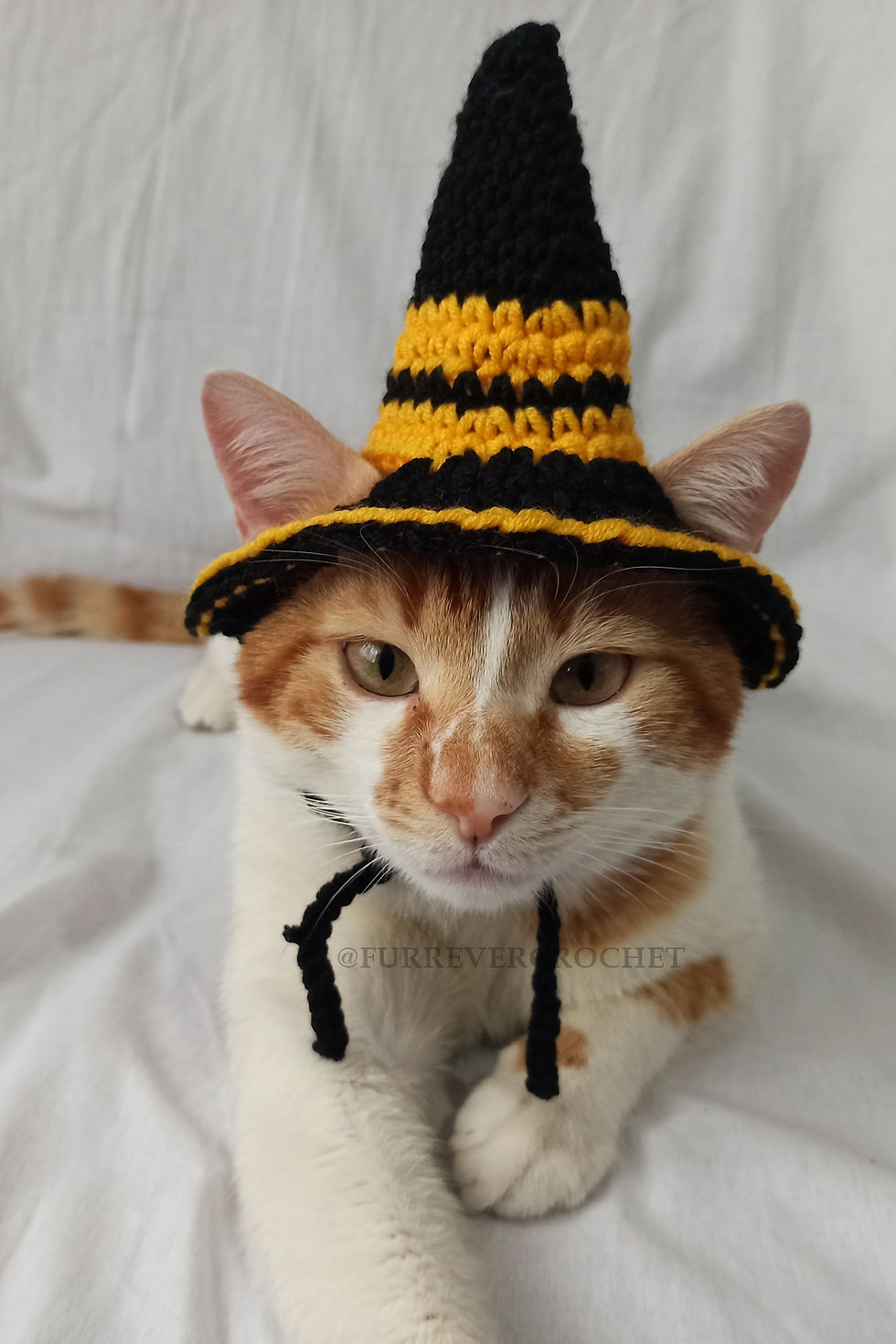 Hufflepuff Harry Potter Hogwarts Cadı Şapka Örgü Kedi Köpek Şapkası