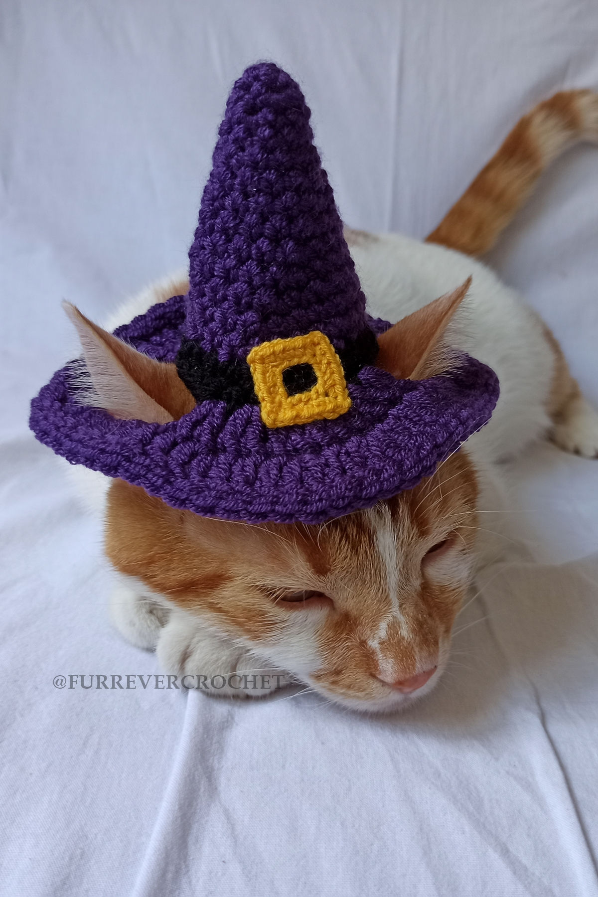 Mor Siyah Cadı Şapka Sarı Tokalı Örgü Kedi Köpek Şapkası