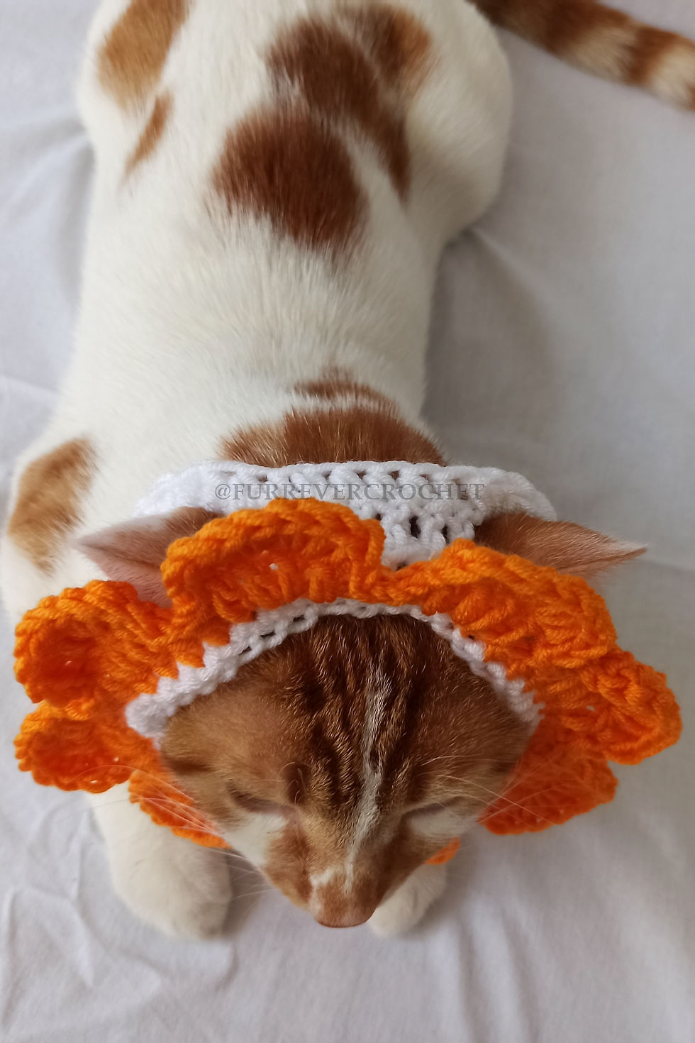 Küçük resim: Turuncu Beyaz Çiçek Bandana Örgü Kedi Köpek Şapkası