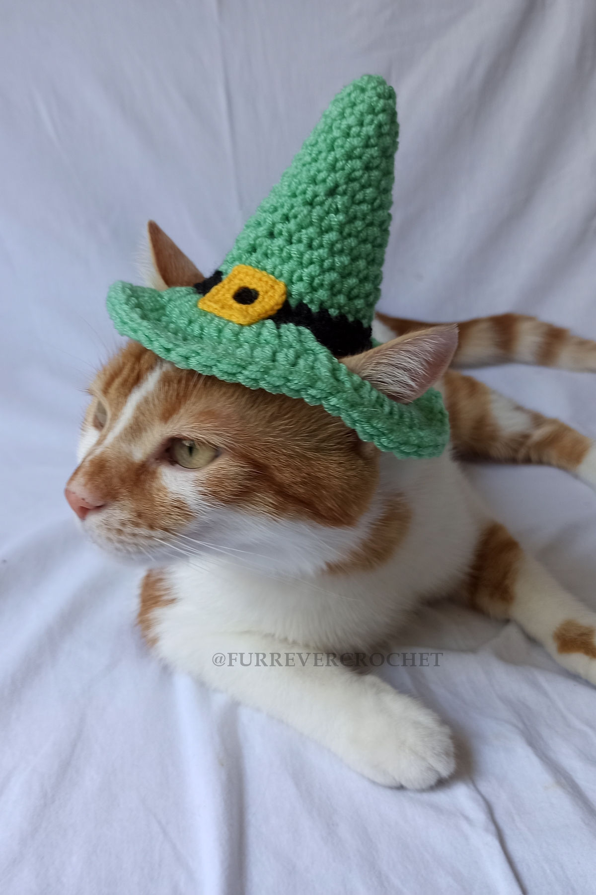 Yeşil Siyah Cadı Şapka Sarı Tokalı Örgü Kedi Köpek Şapkası