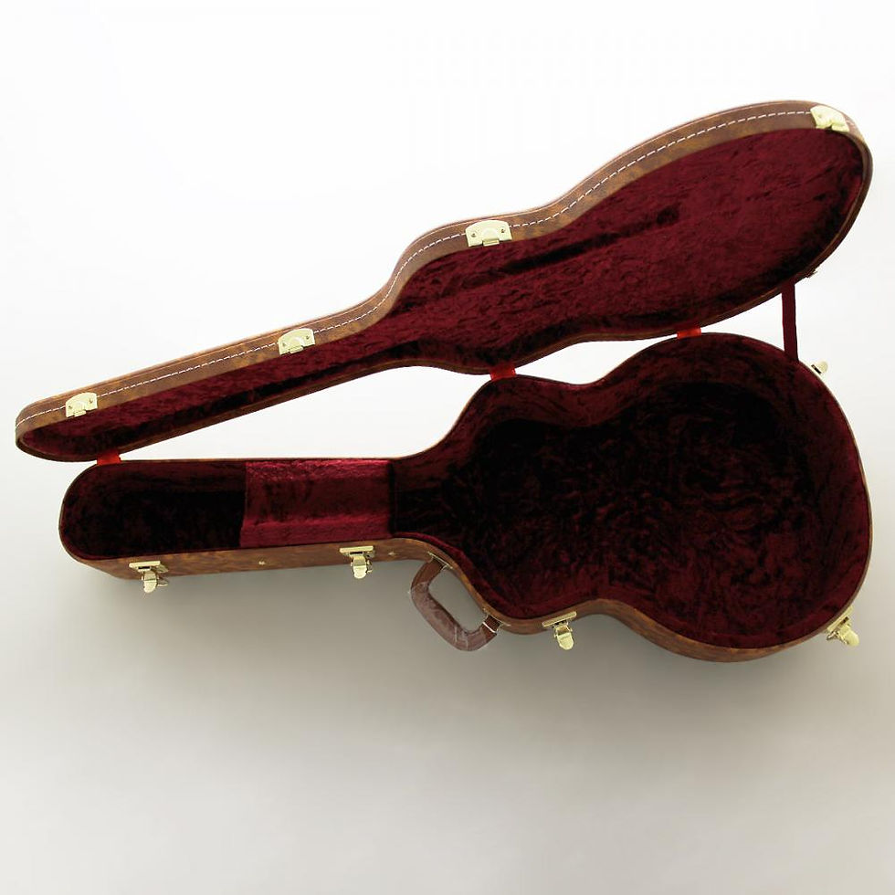 Thumbnail: FGN MASTERFIELD MFA-FP Full Acoustic Jazz Burst