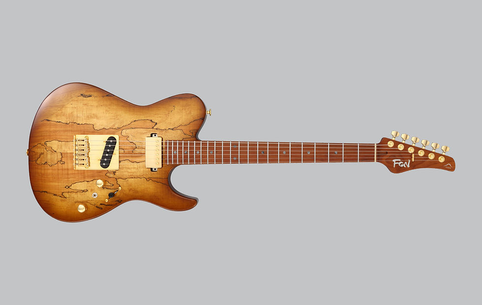 Thumbnail: FGN ILIAD EXPERT EIL-EW1-RM Spalted Maple Top