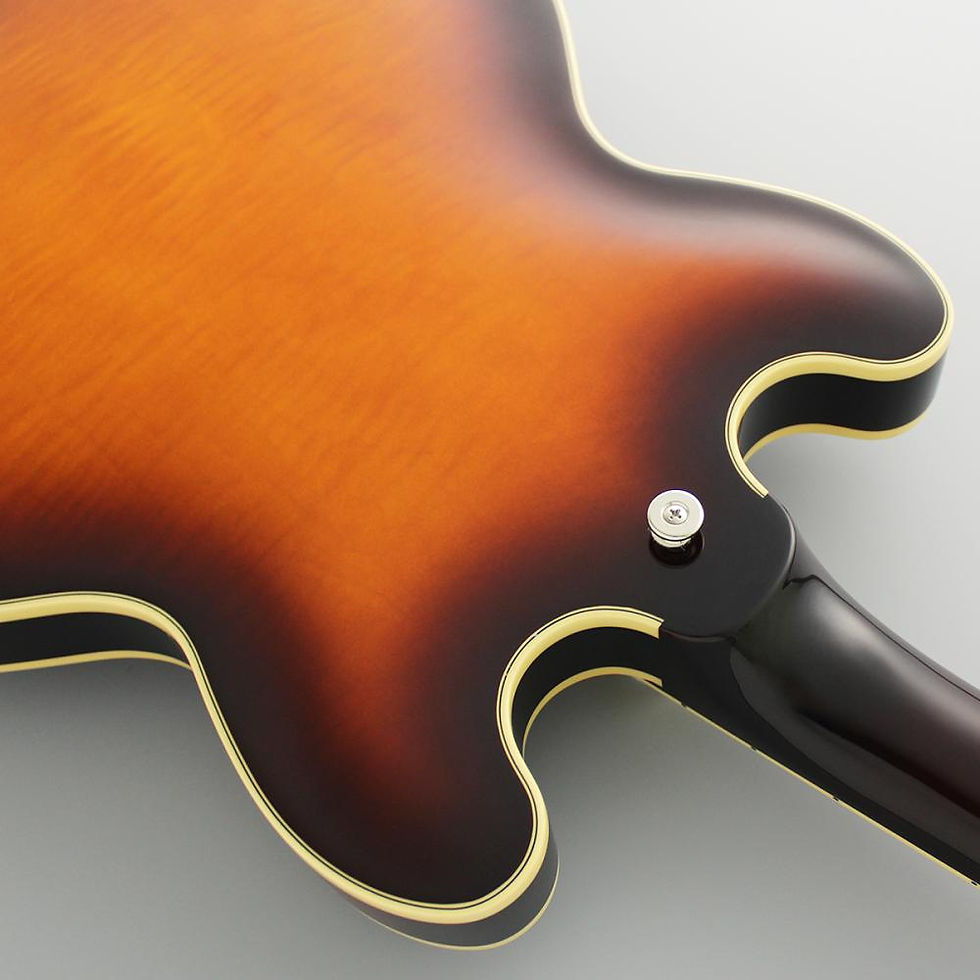 Thumbnail: FGN MASTERFIELD MSA-HP Semi Acoustic Antique Sunburst