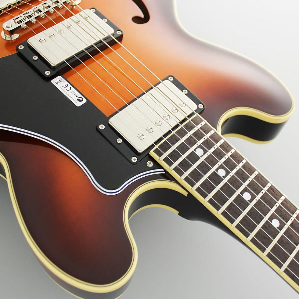 Thumbnail: FGN MASTERFIELD MSA-HP Semi Acoustic Antique Sunburst