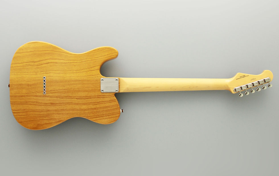 Thumbnail: FGN NEO CLASSIC NTE100-MAH Vintage Natural