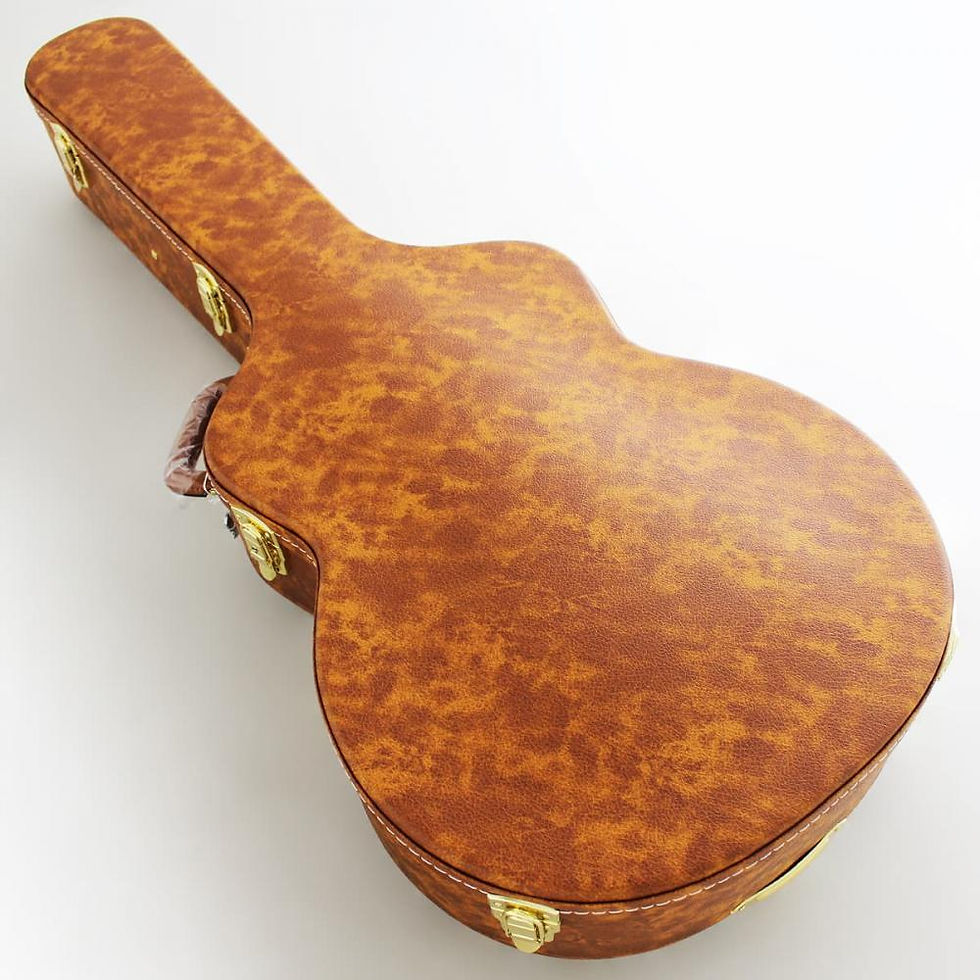 Thumbnail: FGN MASTERFIELD MFA-FP Full Acoustic Jazz Burst