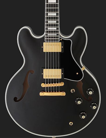 FGN MASTERFIELD MSA-HP-C Semi Acoustic Black Beauty | whitecitymusic FGN MASTERFIELD MSA-HP-C Semi Acoustic Black Beauty | whitecitymusic