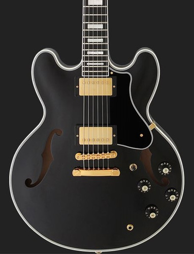 ギター FGN Masterfield MSA-HP-C/BK MSA-HP-C / FGN Guitars