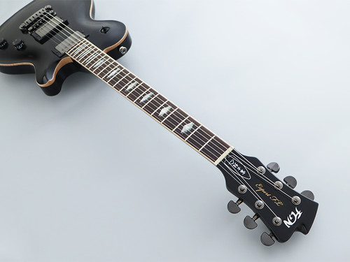 FGN（フジゲン) Expert FLAME EFL-FM/EB EFL-FM/EB : Expert FLAME