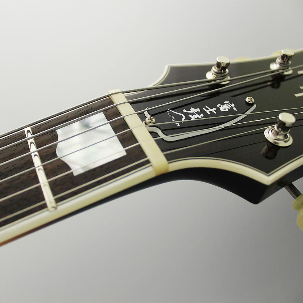 Thumbnail: FGN MASTERFIELD MFA-HH Full Acoustic Jazz Burst