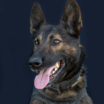 Roko.jpg