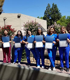 Nursing Classes at Alveomed Nursing 