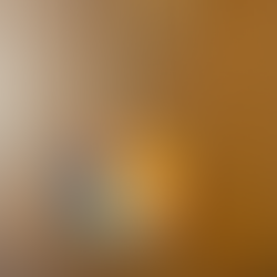 飛牛的2025方孔兄星盤色祝福