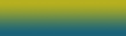 VividColourHorizontal 123.jpg