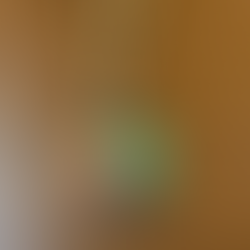 小民的2025方孔兄星盤色祝福