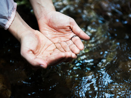 Preservação da água natural