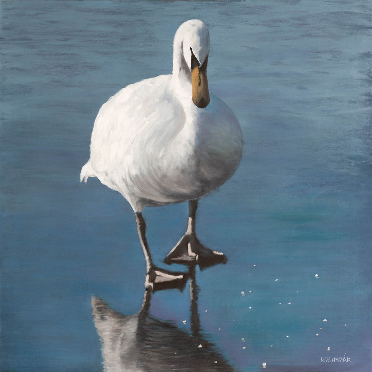Swan
