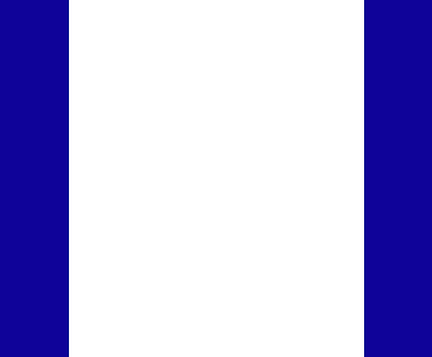 Website Background (long rectangle 2).png